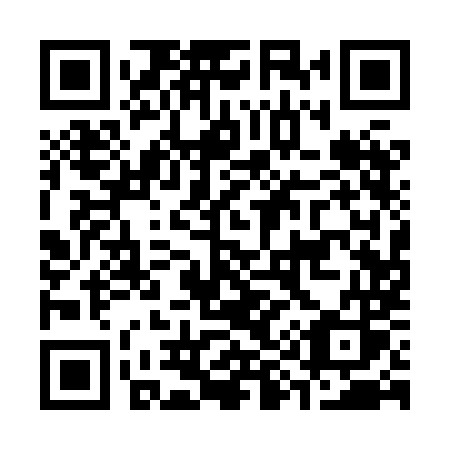 QR code for C91 8MS