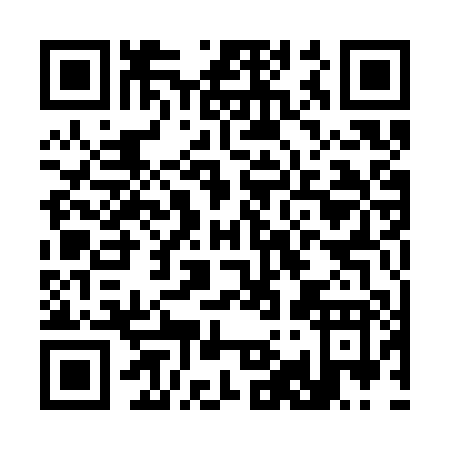 QR code for C913P