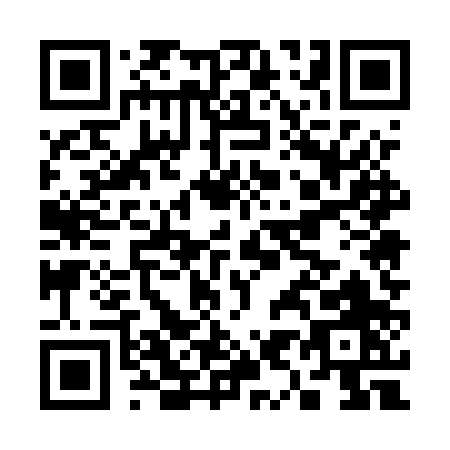 QR code for C955P