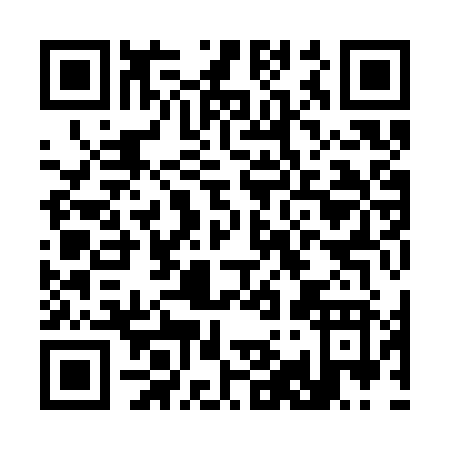 QR code for C993Z