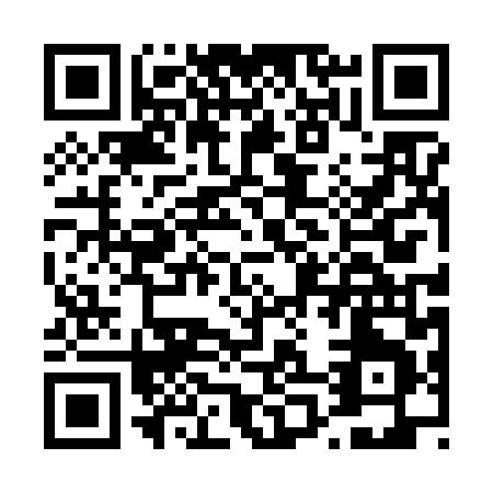 QR code for D006L