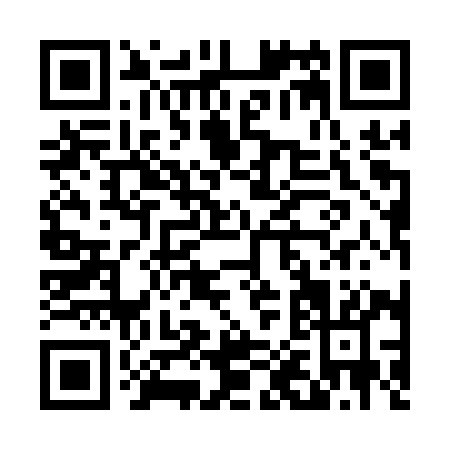 QR code for D011Y
