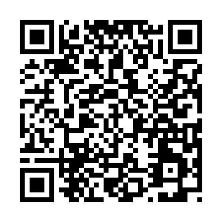 QR code for D013L