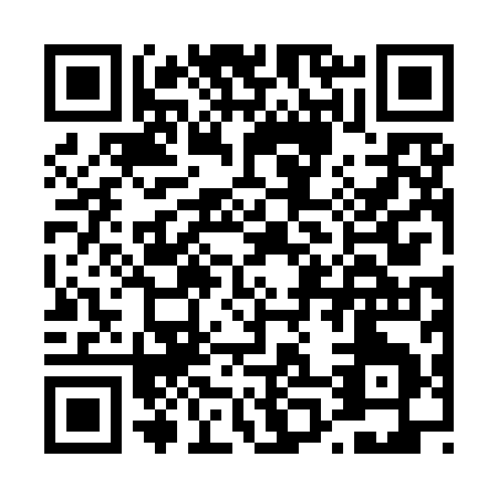QR code for D029I