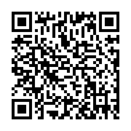 QR code for D029N