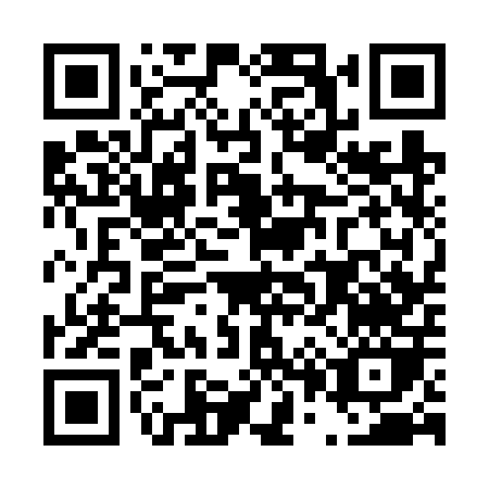 QR code for D036P