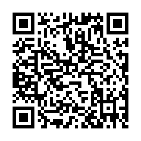 QR code for D041L