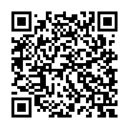 QR code for plate D04 1MR