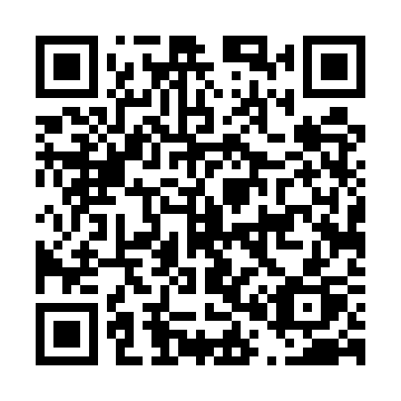 QR code for plate D04 5SP