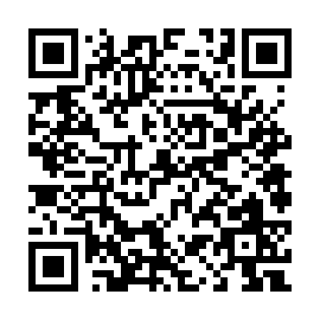QR code for D163S