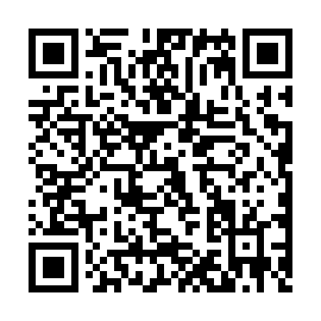 QR code for D163T