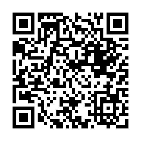 QR code for D166P