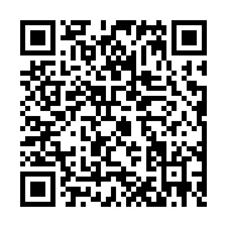 QR code for D173X