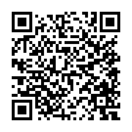 QR code for D208X