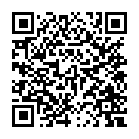 QR code for D238P