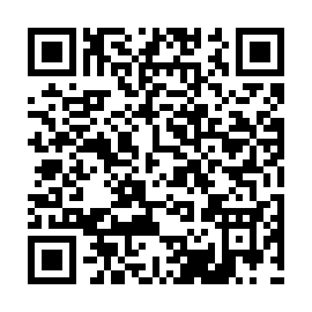 QR code for D246S
