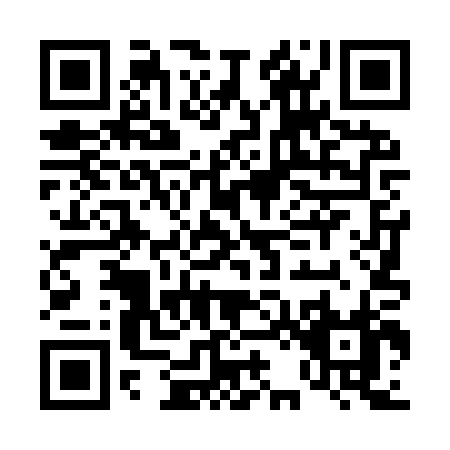 QR code for D249P