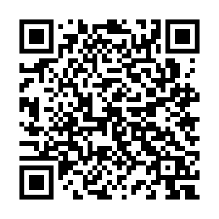 QR code for D253BR