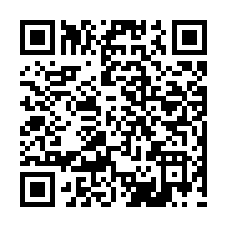 QR code for D272V