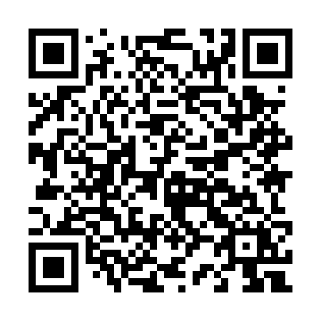 QR code for D290ZX