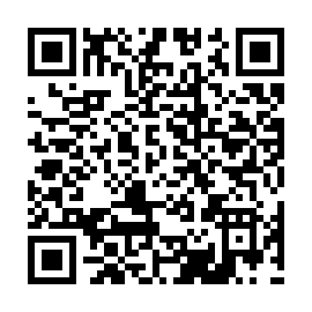 QR code for D293Z