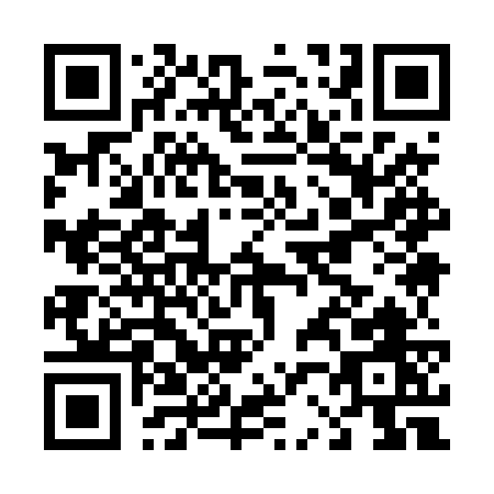 QR code for D294W