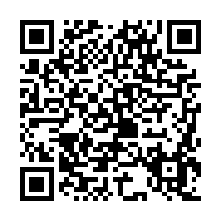 QR code for D300L