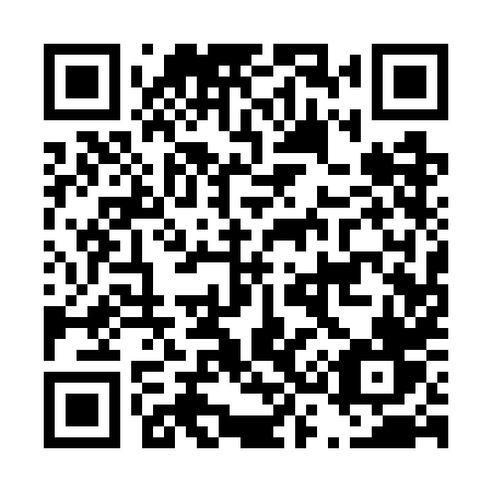 QR code for D317HV