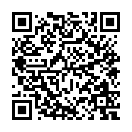 QR code for D317S