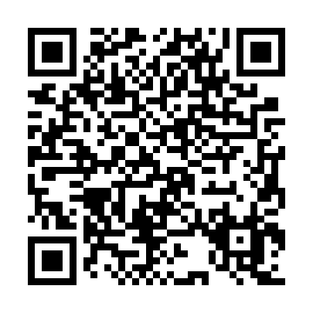 QR code for D336P