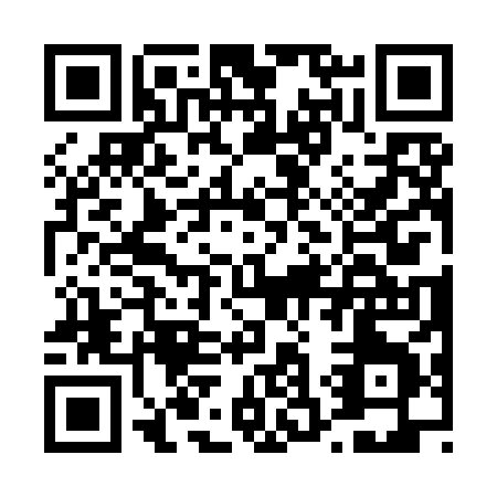 QR code for D339H