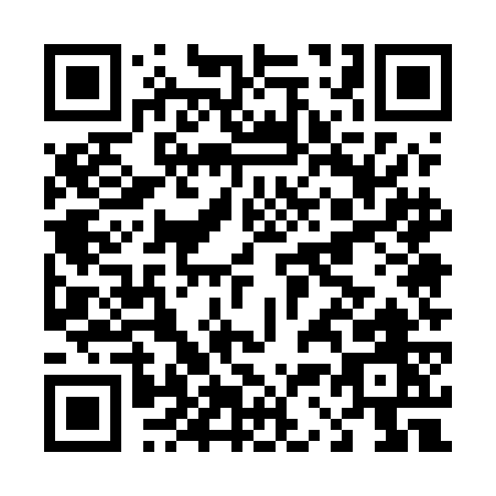 QR code for D355G