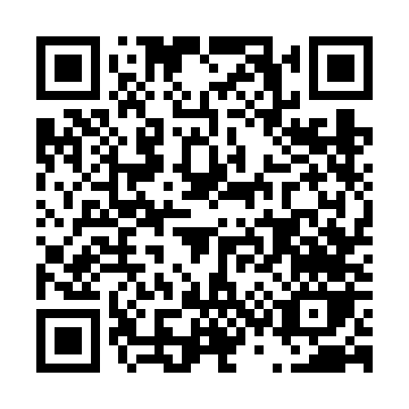 QR code for D376N