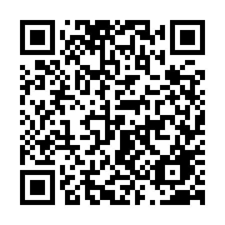 QR code for D379PG