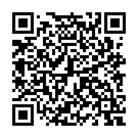 QR code for D381KZ