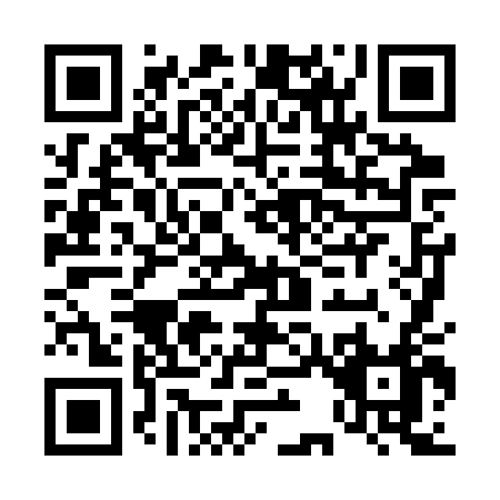 QR code for D383T