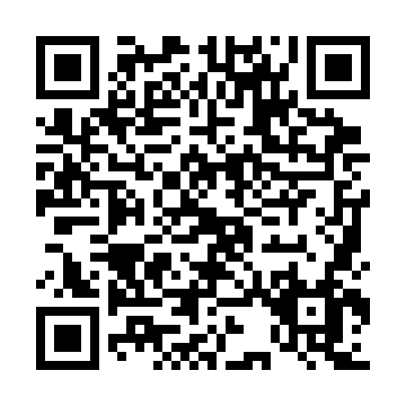 QR code for D393N