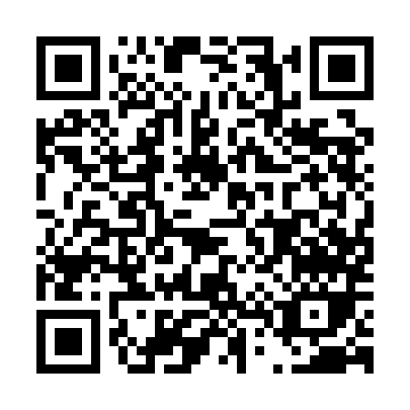 QR code for D411M