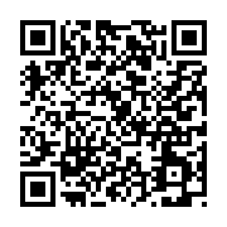 QR code for D441P