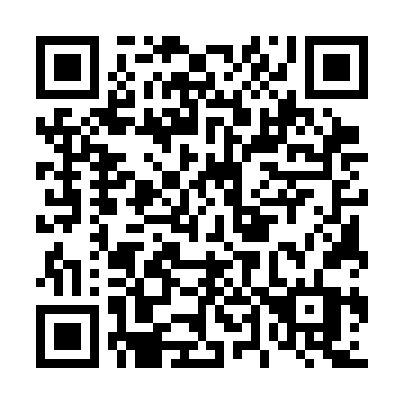 QR code for D453FT