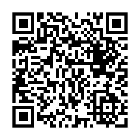 QR code for D493E
