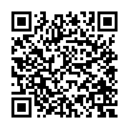 QR code for D509P