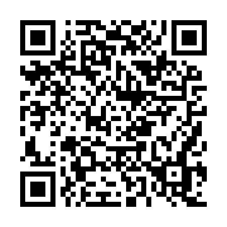 QR code for D509TN