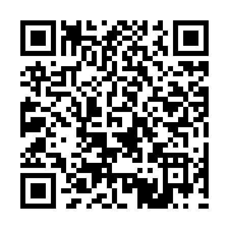 QR code for D509V