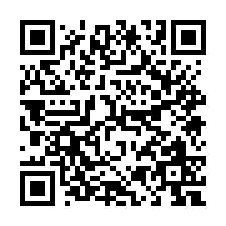 QR code for D517S