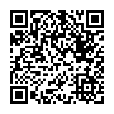 QR code for D519S