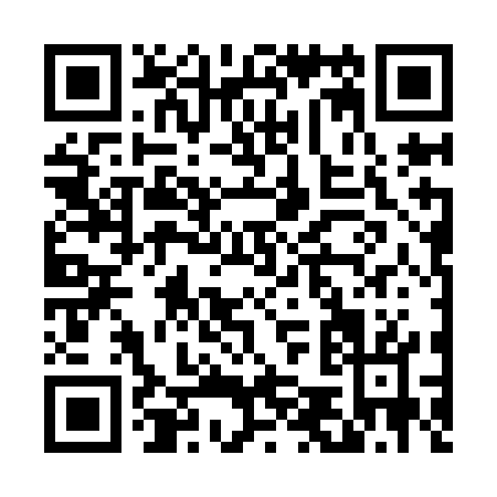 QR code for D529G