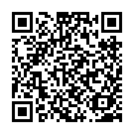 QR code for plate D53 2IK