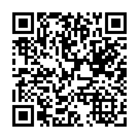 QR code for plate D53 2LI
