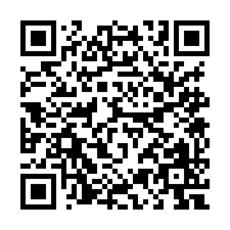 QR code for D538I